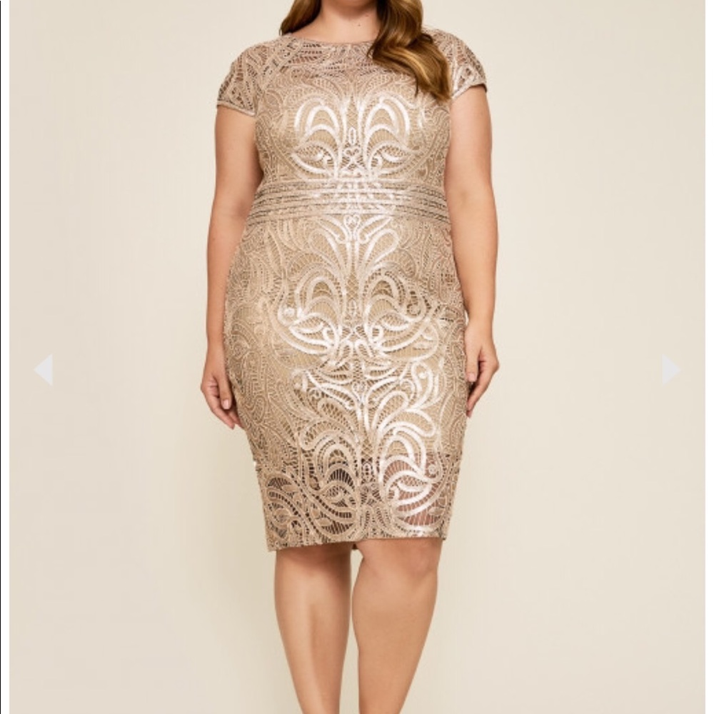 Tadashi Shoji 20Q Dress